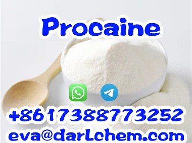 China Factory Supply CAS 51-05-8 Procaine Hydrochloride-1