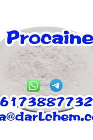 China Factory Supply CAS 51-05-8 Procaine Hydrochloride-3