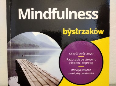 Mindfulness dla bystrzaków - Shamash Alidina-1