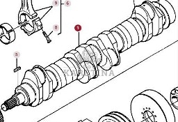 Massey Ferguson 3690 Wał Korbowy CZĘŚCI 612DS 3616828M4