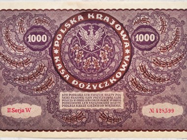 Banknot Polska IIRP 1000 Marek Polskich MKP 1919 r II Serja W St. I UNC -2