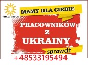 Pracownicy do różnych branż dostępni od zaraz – pracownicy z Ukrainy i Białorusi