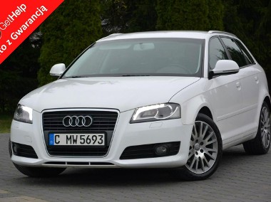 Audi A3 II (8P) BI-Xenon Ledy Skóry Relingi Parktronic Aso-1