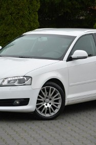 Audi A3 II (8P) BI-Xenon Ledy Skóry Relingi Parktronic Aso-2