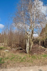 Cicha działka przy lesie Borówiec-2