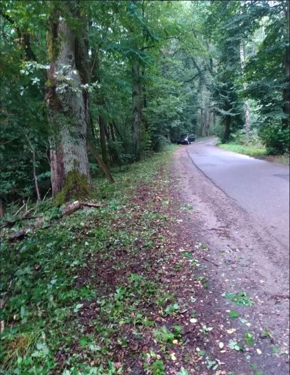 Działka budowlana przy drodze asfaltowej - Widok 5