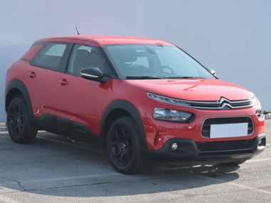 Citroen C4 Cactus I , Salon Polska, Serwis ASO, Automat, VAT 23%, Klimatronic,-1