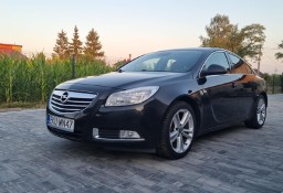 Opel Insignia I Opel Insignia 2.0 2010 Eco flex