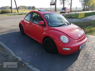 Volkswagen Beetle-1