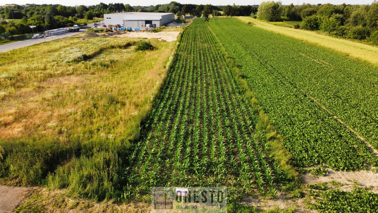 Działka inwestycyjna 0,49 a Łęczna - Widok 2