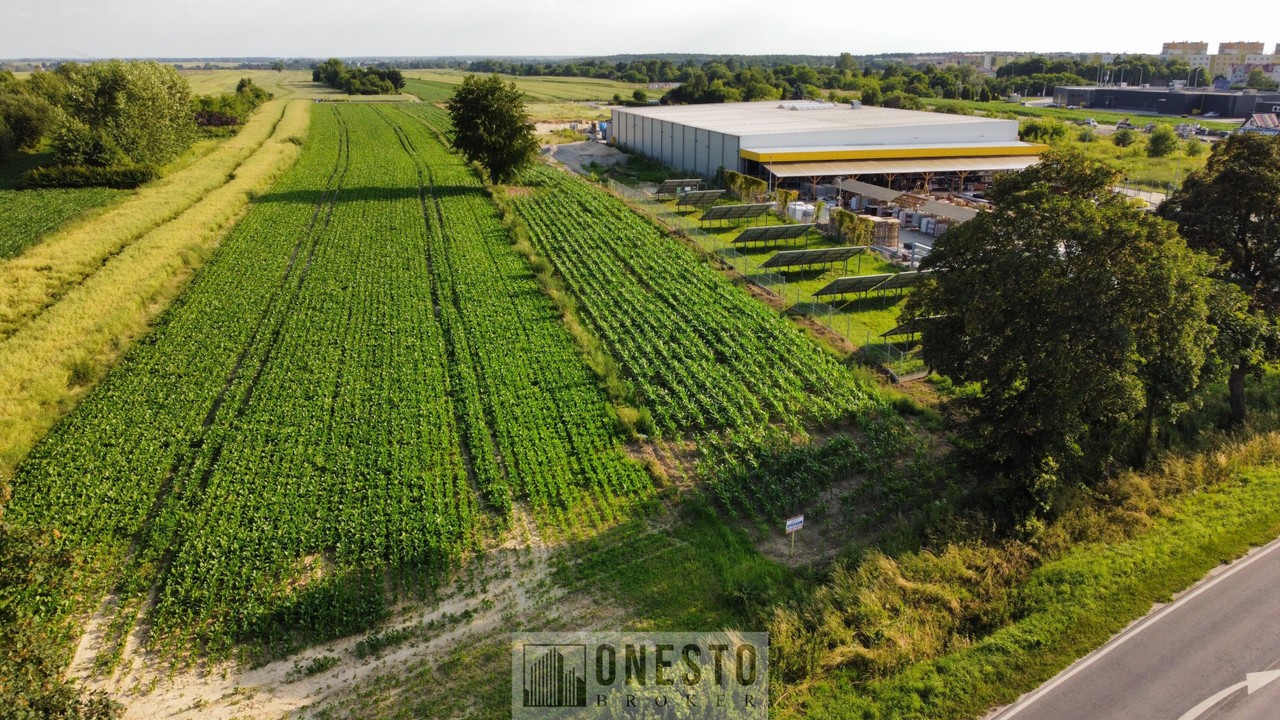 Działka inwestycyjna 0,49 a Łęczna - Widok 3
