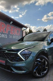 Kia Sportage IV-2
