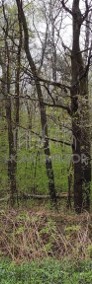 Borowina - Przy Lesie-3