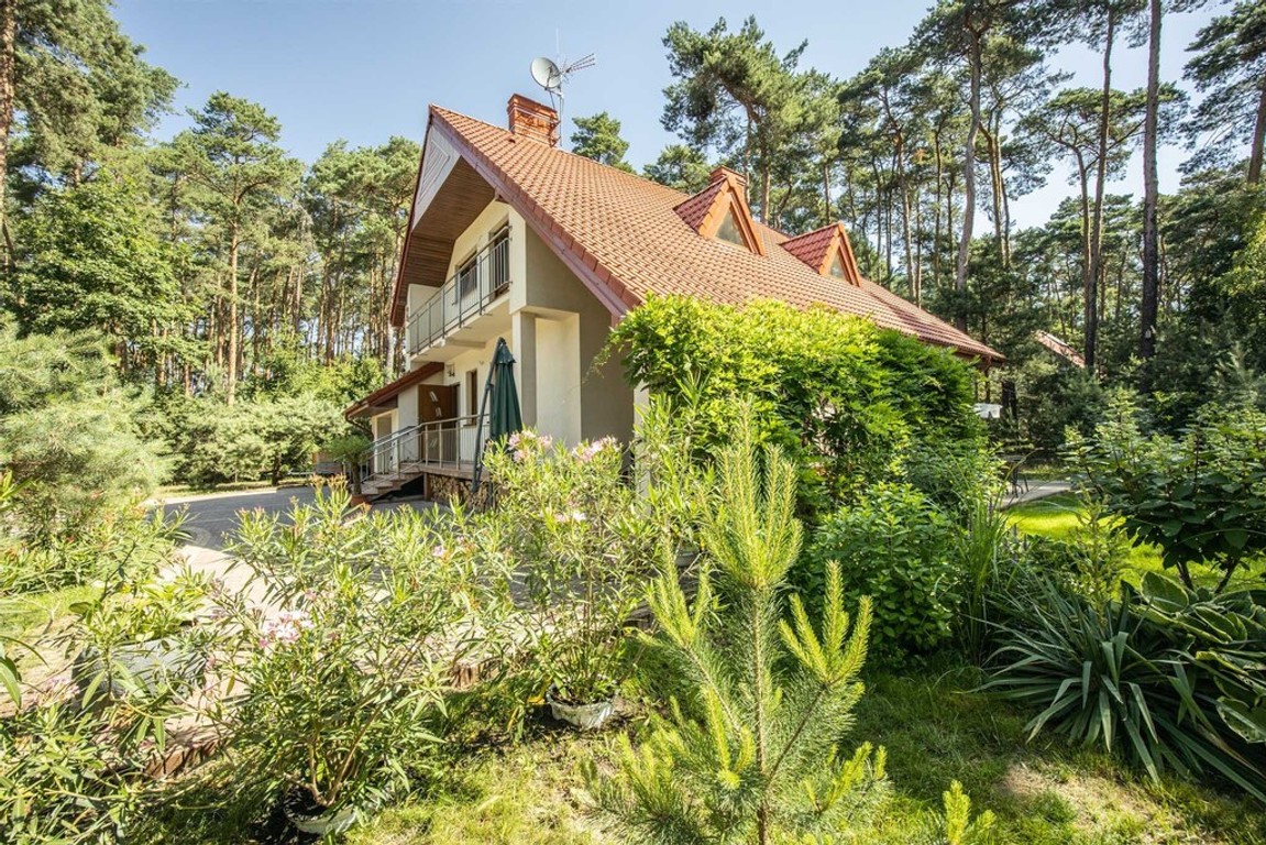 Wyjątkowy dom otulony lasem | Sokolniki-Las - Widok 2