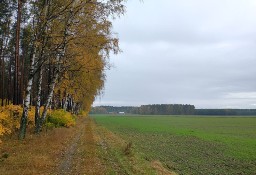 ziemia rolna 5 hektarów Podlesie gm. Oborniki OD WŁAŚCICIELA