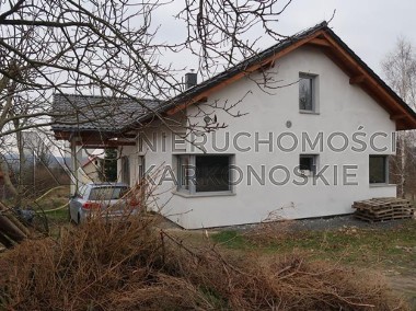 Dom, sprzedaż, 170.00, Olszyna, Olszyna (gm.), Lubański (pow.)-1