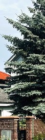 Poznań-Podolany komfortowy dom  jednorodzinny w stylu miejskiej willi z ogrodem-4