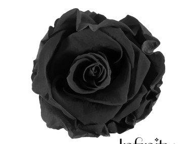 Flower box czarna NATURALNA wieczna róża upominek-2