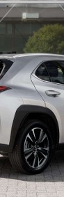 Lexus UX 300h Business 300h Business 2.0 199KM | System Martwego Pola-4