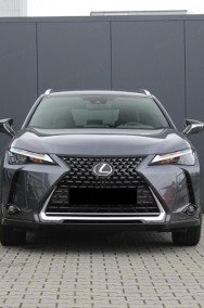 Lexus UX 300h Business UX 300h Business 2.0 | Kamera cofania + Czujniki parko-2