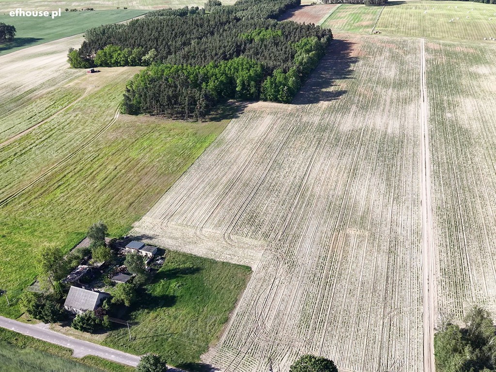 Rolna 3,64 ha z mediami, asfaltowym dojazdem. - Widok 3