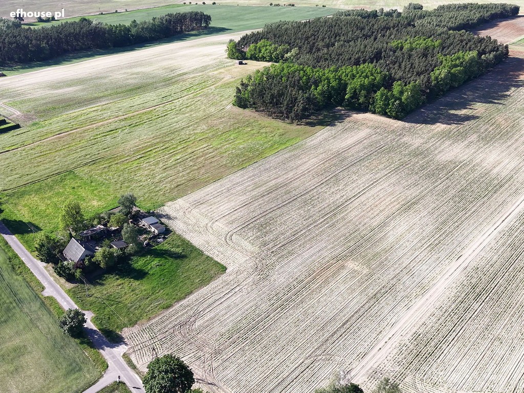 Rolna 3,64 ha z mediami, asfaltowym dojazdem. - Widok 4