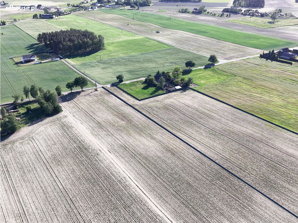 Rolna 3,64 ha z mediami, asfaltowym dojazdem. - Widok 5
