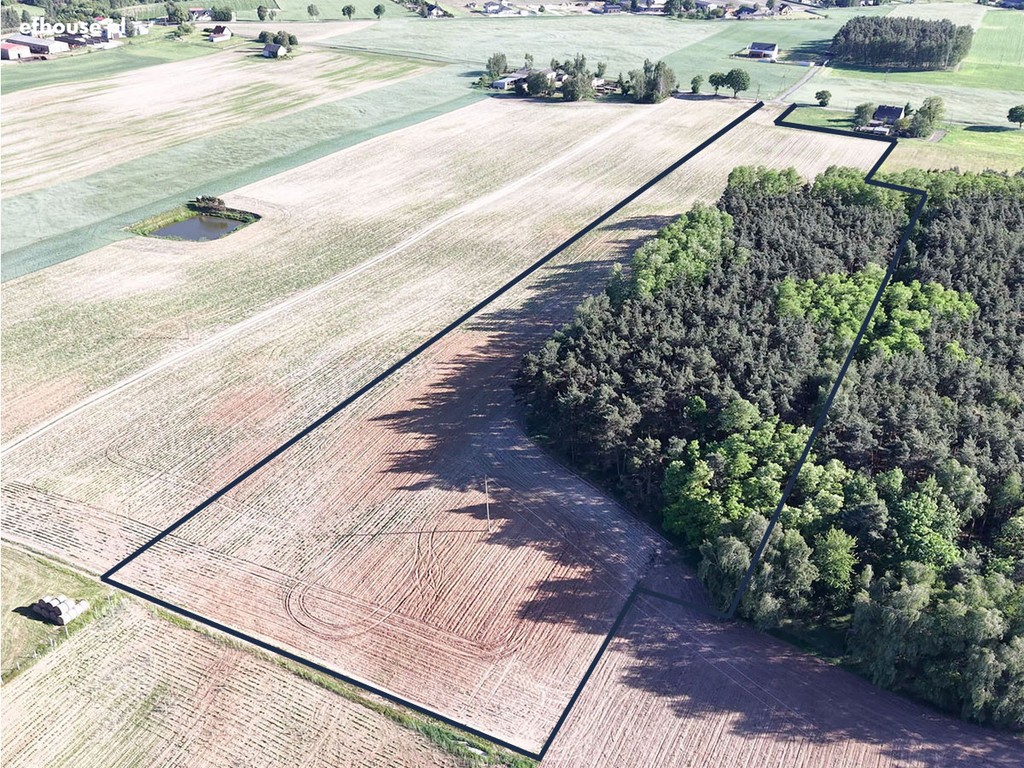Rolna 3,64 ha z mediami, asfaltowym dojazdem. - Widok 6