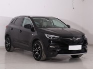Opel Inny Opel , Salon Polska, Serwis ASO, VAT 23%, Skóra, Klimatronic,