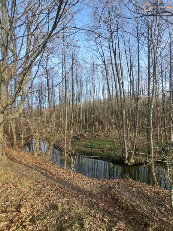 Wyjątkowy teren 3,85 ha | Trąbki Małe - Widok 2