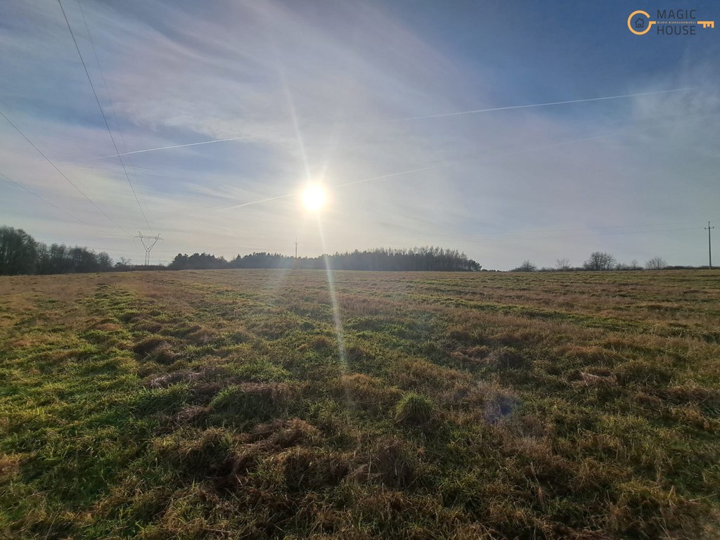 Wyjątkowy teren 3,85 ha | Trąbki Małe - Widok 4
