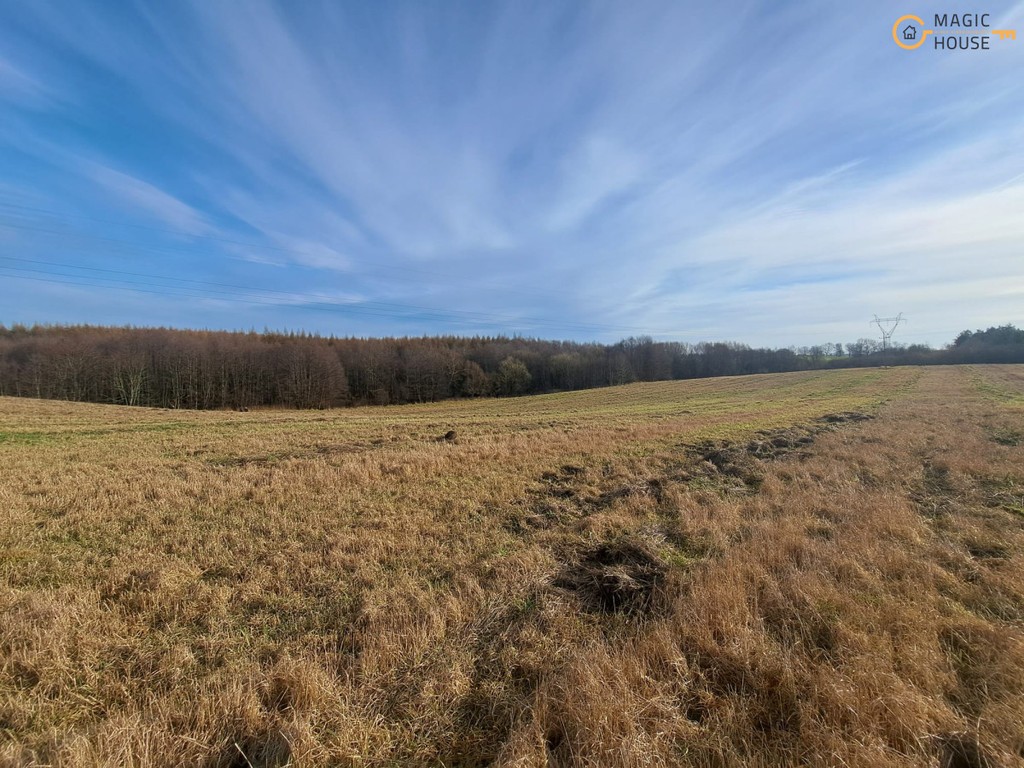 Wyjątkowy teren 3,85 ha | Trąbki Małe - Widok 5