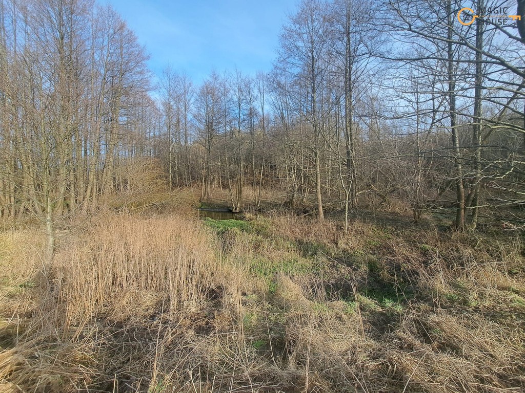 Wyjątkowy teren 3,85 ha | Trąbki Małe - Widok 6