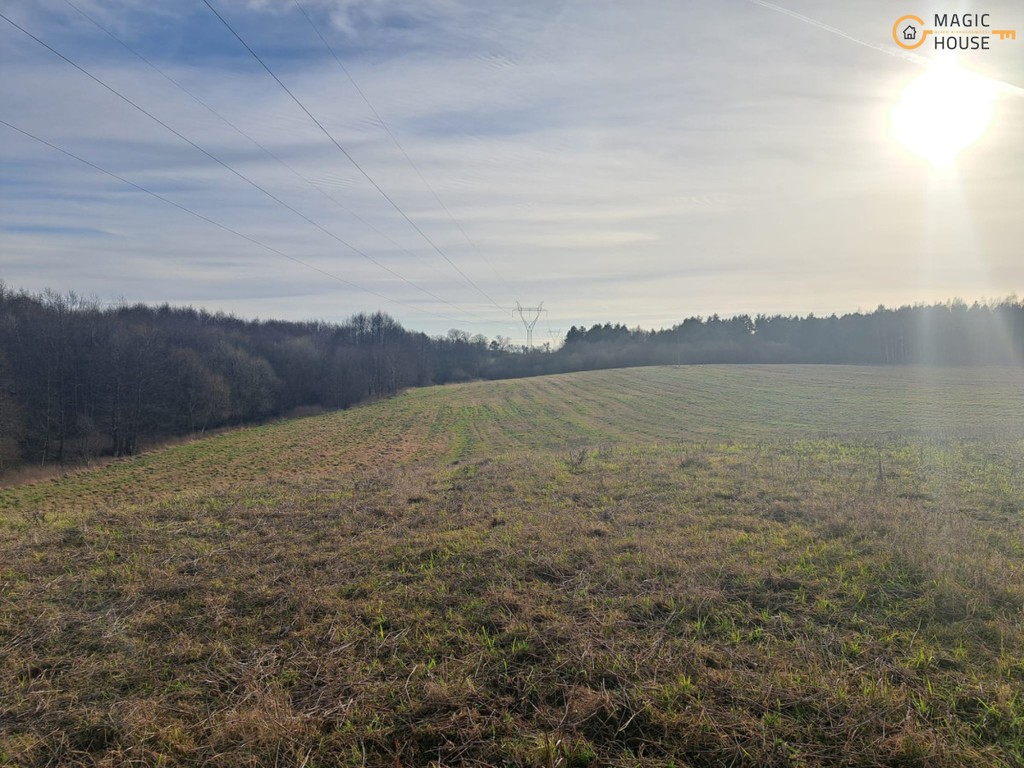 Wyjątkowy teren 3,85 ha | Trąbki Małe - Więcej