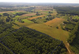 Działka budowlana Sopieszyno, ul. Leśna