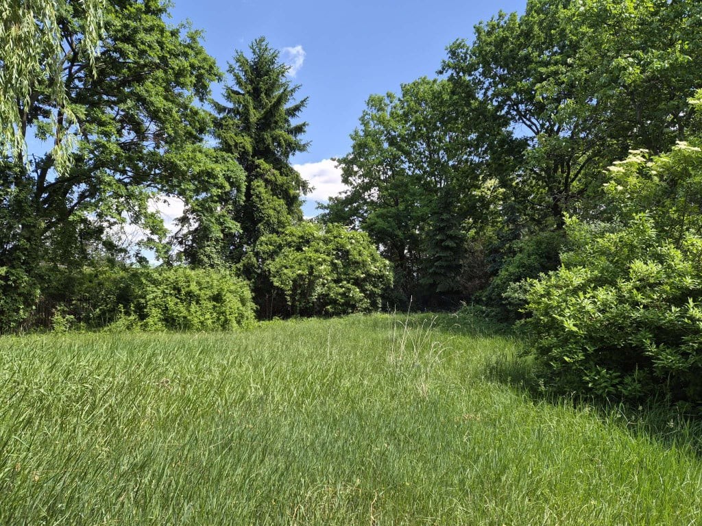 Działka 5 600 m² - pod zabudowę mieszkaniową 2 900 PUM - Widok 2