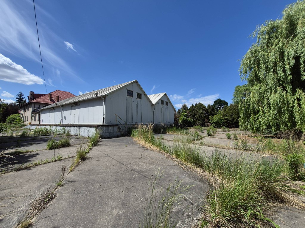 Działka 5 600 m² - pod zabudowę mieszkaniową 2 900 PUM - Widok 3