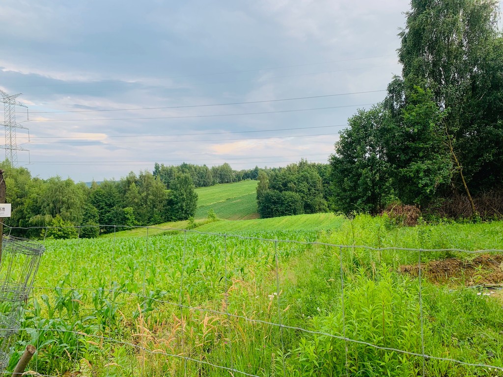 Tłuczań , gm Brzeźnica, 1,14 ha, z pozwoleniem na budowę, kameralna - Widok 3