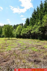 Pliszczyn, działka do wydzielenia 30-50a, rzeka.-2