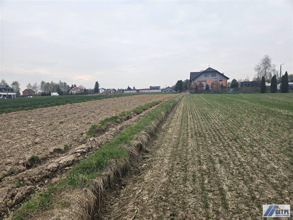 Targowiksko działka 9a MNU, 31a rolna - Widok 3