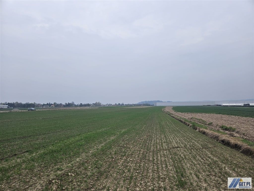 Targowiksko działka 9a MNU, 31a rolna - Widok 4