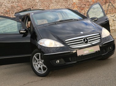 ELEGANCE-Tempomat-Czujniki Parkowania-Elektryka-Serwis-1