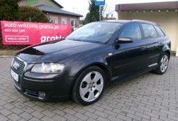 Audi A3 II (8P) 2.0 tdi