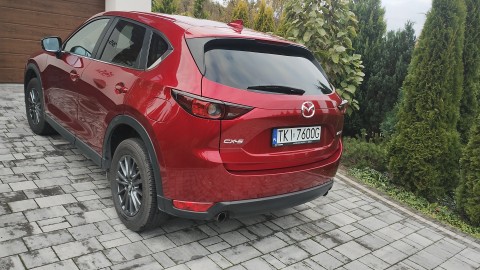 Pierwszy właściciel serwisowany w ASO bezwypadkowy na gwarancji