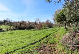 Działka inna Penamacor, Castelo Branco