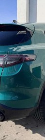 Alfa Romeo Stelvio 2.0 Turbo Intensa Q4 2.0 Turbo Intensa Q4 (280 KM) Dach przeszklony,-3