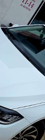 Volkswagen Polo VI-3