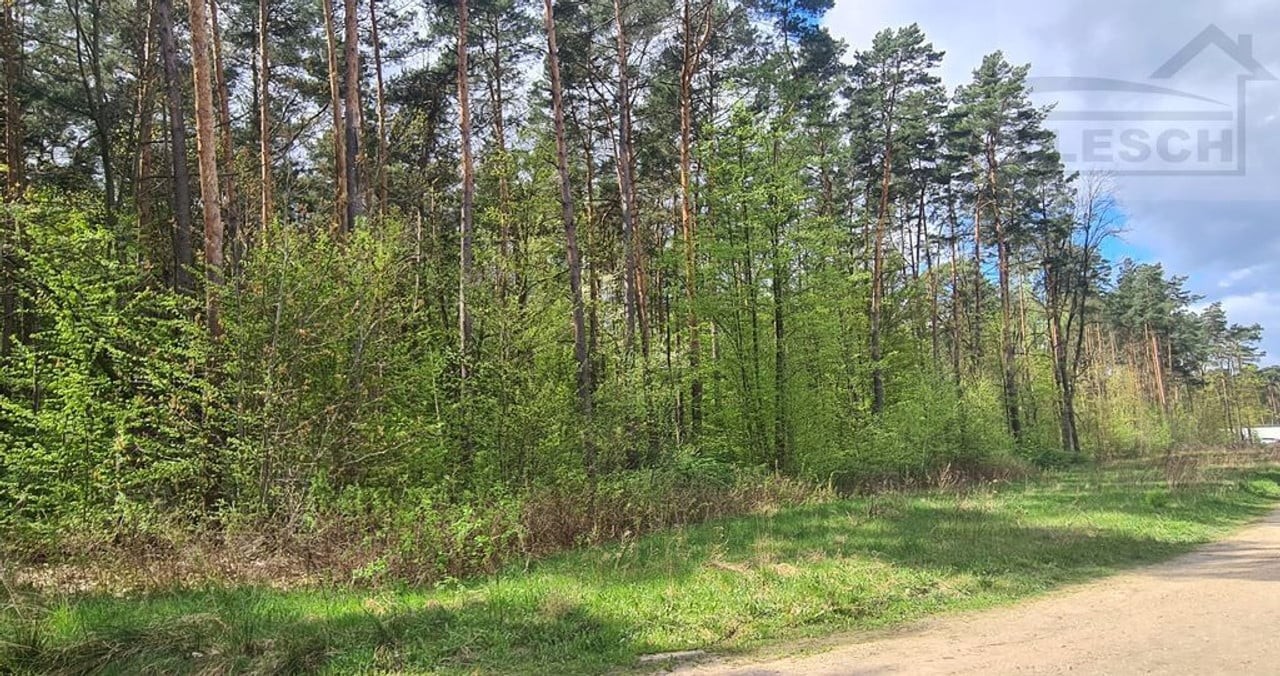 Działka w Sękocinie - Widok 2