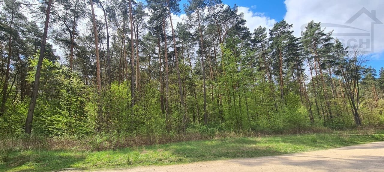 Działka w Sękocinie - Widok 3