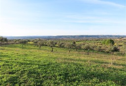 Działka inna Castelo Branco, Castelo Branco